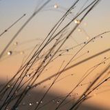 Успение Пресвятой Богородицы: что нельзя делать 28 августа