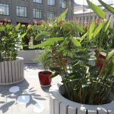 Собянин рассказал об открытии фестиваля ландшафтного дизайна 