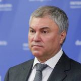 Володин оценил опыт Южной Кореи в борьбе с монополией ИТ-гигантов в сфере платежей