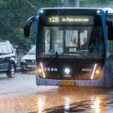 Собянин подвел первые итоги введения бесплатных пересадок в наземном транспорте 