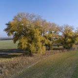 Святой мученик Евтихий: Народные приметы 6 сентября