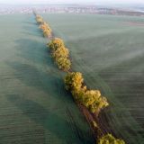 День священномученика Маманта: что нельзя делать 15 сентября 