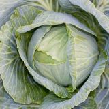 Федорины вечерки: Обычаи и запреты 24 сентября