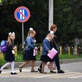 Собянин: мы добились радикального снижения детского травматизма на дорогах