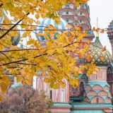 День Гусятника: народные приметы и запреты 28 сентября