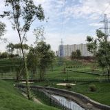 Собянин рассказал о благоустройстве пешеходных и зеленых зон в районах ЮАО