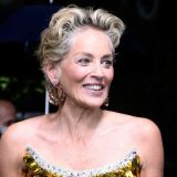 Грудь Шэрон Стоун вывалилась на глазах у миллионов