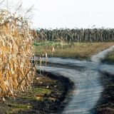 Фомин день: что нельзя делать 19 октября