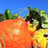 День Сергея Зимнего: традиции и приметы 20 октября