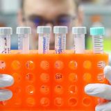 Новый штамм коронавируса выявили в России: AY.4.2 линии 