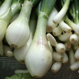 День евангелиста Луки: что нельзя делать 31 октября