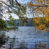 Праздник священномученика Зиновия Егейского: традиции и приметы 12 ноября