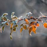 День Павла Исповедника: народные приметы 19 ноября