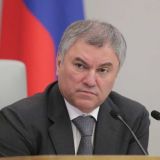 Володин попросил кабмин уделить особое внимание детям с диабетом