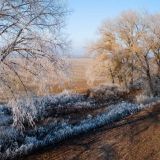 Праздник Иоанна Милостивого: традиции и приметы 25 ноября