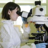 В Центре имени Гамалеи назвали сроки появления в России омикрон-штамма коронавируса