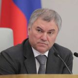 Володин пообещал донести до кабмина беспокойства граждан по поводу QR-кодов