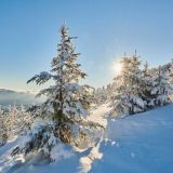 День зимнего солнцестояния: народные приметы 21 декабря