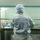 Обнародованы снимки нового штамма коронавируса 