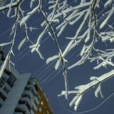 Трифонов день: приметы и традиции 28 декабря