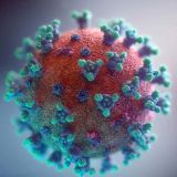 Неизвестным ранее мутант-штаммом коронавируса заразились 12 человек 