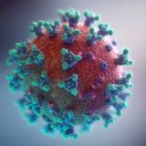 В России вновь выявили свыше 16 тысяч заражений ковидом за сутки