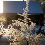 Серафимов День: Что нельзя делать 15 января 