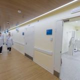 Дежурные врачи примут москвичей с симптомами ОРВИ без записи