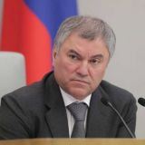 Володин предложил способы решения проблемы бродячих животных