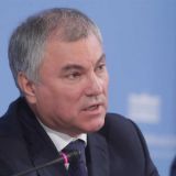 Володин рассказал о работе по решению проблемы бродячих собак