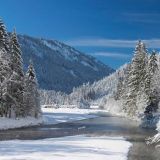 Петр-полукорм: что нельзя и что можно в праздник 29 января