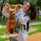 Кинологи объяснили необходимость новых собачьих площадок в Москве