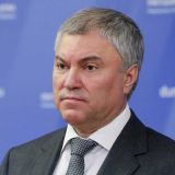 Володин обвинил западных политиков в стремлении перечеркнуть подвиг советских граждан в ВОВ