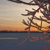 Тимофей-полузимник: традиции и приметы 4 февраля