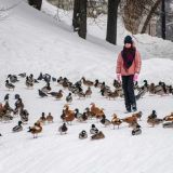 День Иоанна Златоуста: Что нельзя делать 9 февраля