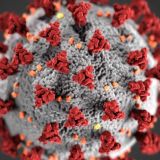 В России снова выявили более 200 тысяч заболевших COVID-19 за сутки