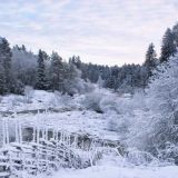 Никола Студеный: приметы и традиции 17 февраля