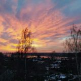 Вукол-телятник: приметы и традиции 19 февраля