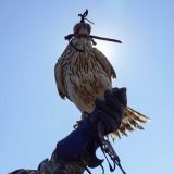 День Герасима Грачевника: Приметы и традиции 17 марта