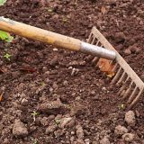 День Конона Огородника: что нельзя делать 18 марта