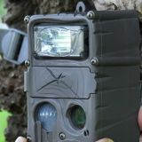 Редчайшие кадры: в Хакассии засняли на видео кабарга