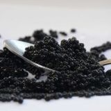 Миллионы рублей в секунду: прорыв резервуаров с черной икрой сняли на видео