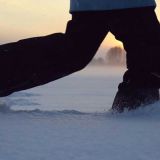 В бурятском заповеднике сняли на видео кабаргу