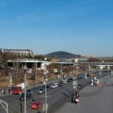 Спрятавший нос под хвост сурок не захотел выходить из зимней спячки: видео