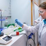 Собянин представил меры поддержки семей с детьми, малого бизнеса и производителей лекарств