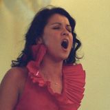 Увеличившую губы Нетребко раскритиковали за непотребный вид