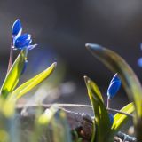 Красная горка: приметы и традиции в праздник 1 мая