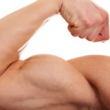 В спортзал ходить не нужно: пес-утяжелитель набирает популярность в Сети