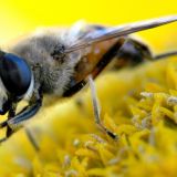 Пудов день: народные приметы и традиции 28 апреля