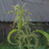 Марк Ключник: что нельзя делать в православный праздник 8 мая 2022 года